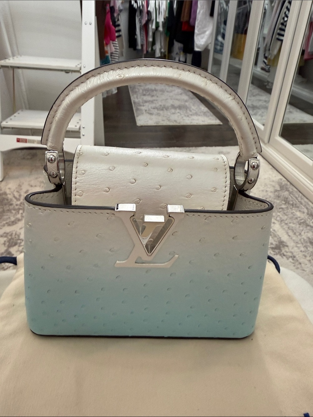 NWT AUTHENTIC Louis Vuitton Capucines Mini LIMITED EDITION Ombre OSTRICH leather